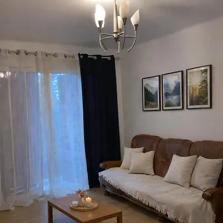 Lumineux T3 Avec Double Terrasse Au Calme - Parking Securise Apartment *